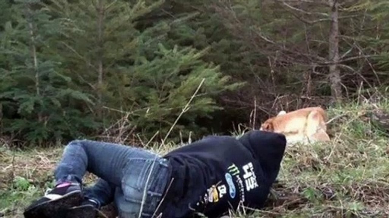 Elle s'effondre au sol devant un chien mourant. La réaction de l'animal est incroyable !