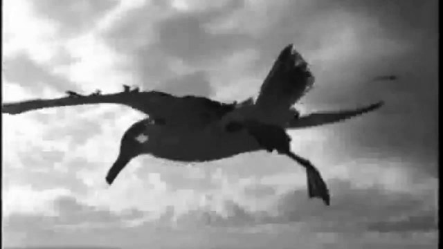 Têtes de Bois - L'albatros (Baudelaire, Ferré)