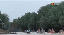 Pesona Pantai di Balik Hutan Mangrove