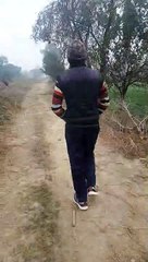 Tik tok Sachin Sagar