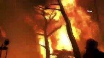- Avustralya'da binlerce kişi için tahliye uyarısı- Orman yangınları bu kez Victoria eyaletini tehdit ediyor