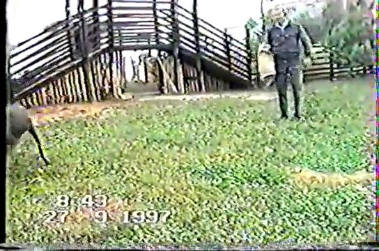 U DERVENTI JE TO BILO DAVNO KADA JE GLIŠIĆ BIO JEDAN JDINI