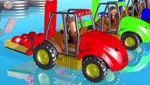 Learn Colors Learn Animals and Vehicles with Slide Indoor Playground Fun Cartoon for Children