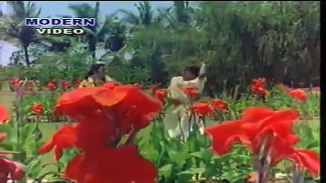 Narad Prithvi log Mein fashgiyo !! बीरा बेगो आईजे रे ! Full Rajasthani Movies and SONGS