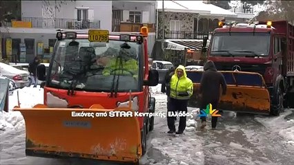 Η Ζηνοβία στην Κεντρική Εύβοια