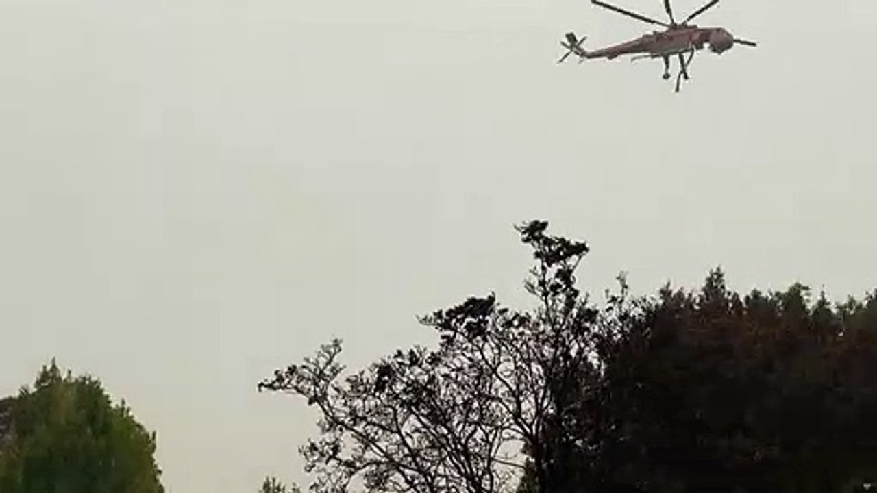 Australien: freiwillige bekommen entschädigung für einsatz gegen buschbrände