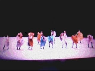 Essai extraits de gala 2007