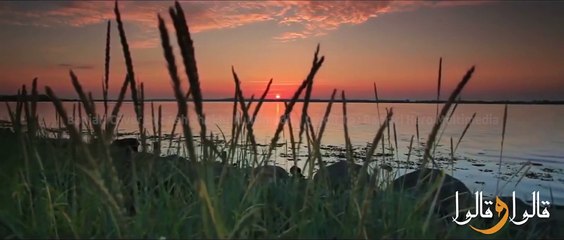 Qalu wa Qalu (Abdullah Al Mahdawi) - Banjari Cover