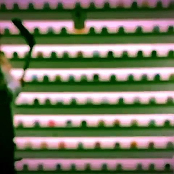 Así es la millonaria cancha de hockey sobre hielo de Luisana Lopilato y Michael Bublé