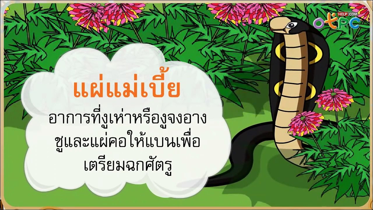 เกือบไป - สื่อการเรียนการสอน ภาษาไทย ป.1