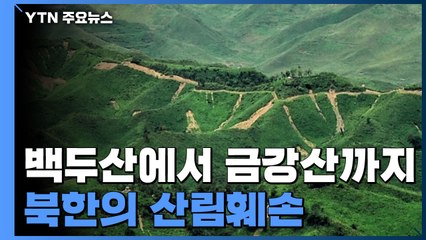 백두산 삼지연에서 금강산 고성까지...위성 데이터로 본 북한 산림훼손 실태 / YTN