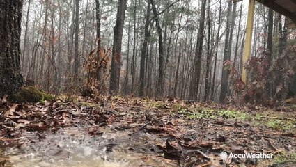 Rain, rain, go away
