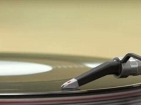 Basset Hound Beat Box