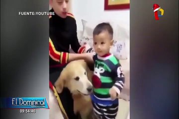 VIDEO: perro defiende a niño que supuestamente iba ser castigado