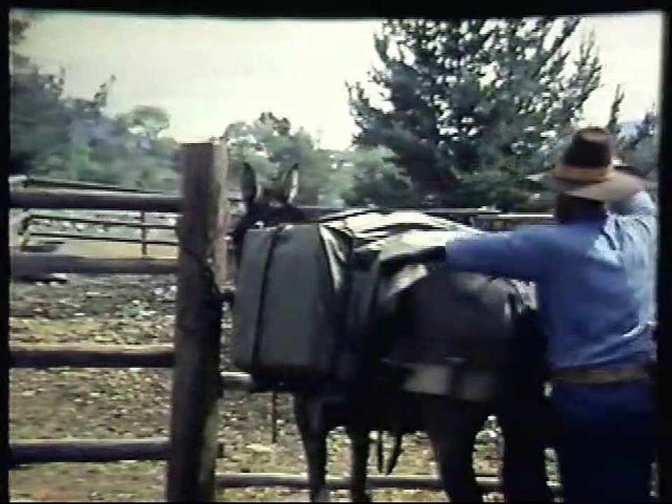 Wapiti Creek - The Story of the American Elk Part 2