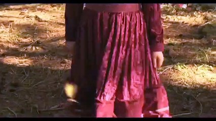 The Faeries of Blackheath Woods (Best Quality)