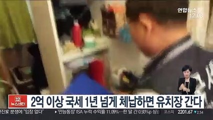 2억 이상 국세 1년 넘게 체납하면 유치장 간다