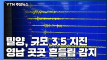 세밑 영남지역 '흔들'...밀양, 규모 3.5 지진 / YTN