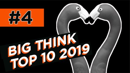 #4: What makes someone gay? Science is trying to get it straight. | Top 10 2019