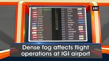 Dense fog affects flights operations at IGI airport