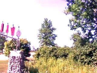 CARNAGE FOR THE DESTROYER - Trailer