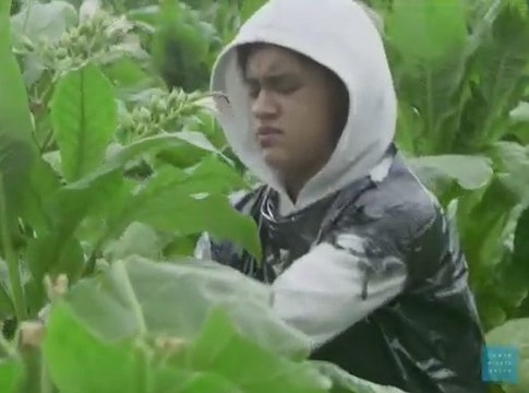 Biri kölelik bitti mi dedi