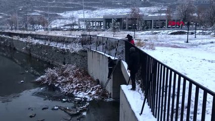 Kars çayı'na düşen köpeği kurtarma seferberliği