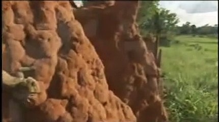 The Besieged Fortress