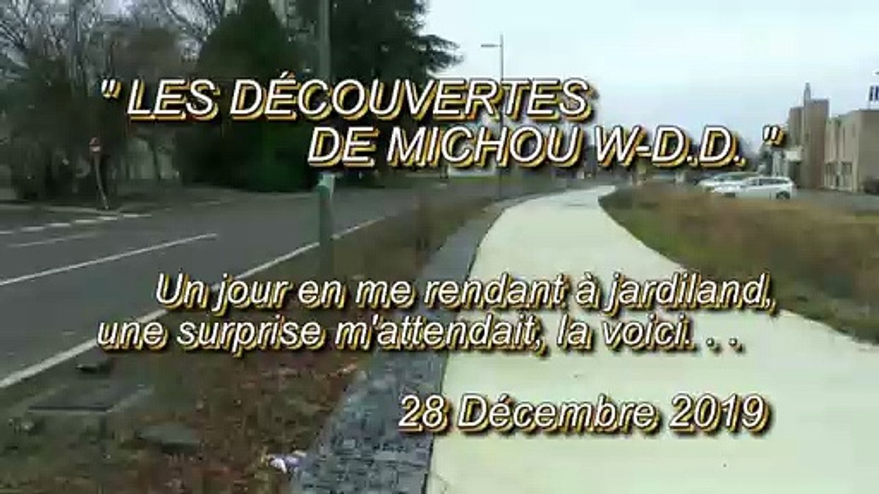LES DÉCOUVERTES DE MICHOU W-D.D. - 28 DÉCEMBRE 2019 - À PAU - UNE VOIE ROYALE !