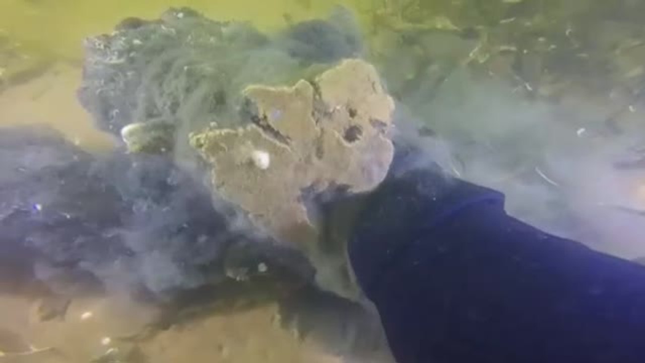 Los expertos tachan de insuficiente el nuevo decreto ley para salvar el Mar Menor