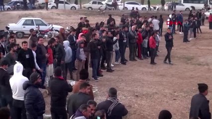Şanlıurfa semalarında 'güvercin savaşları'