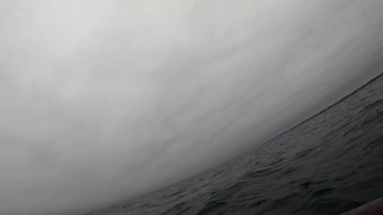2019 lake michigan old squaw hunting