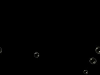 Free ScreenSavers - FreeSS.net