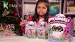 Who Will I Hatch_ HATCHIMALS Unboxing - Hatching Fun Surprise Eggs - Kyrascope Toy Reviews