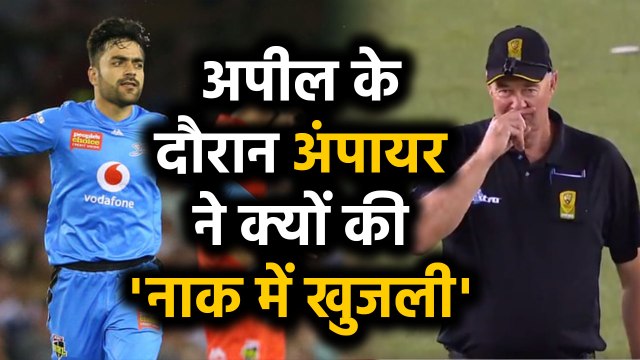 Big Bash League: Umpire raises finger to give out, then rubs nose in match | वनइंडिया हिंदी