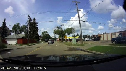 Dog Jumps From Car Stopped at Intersection