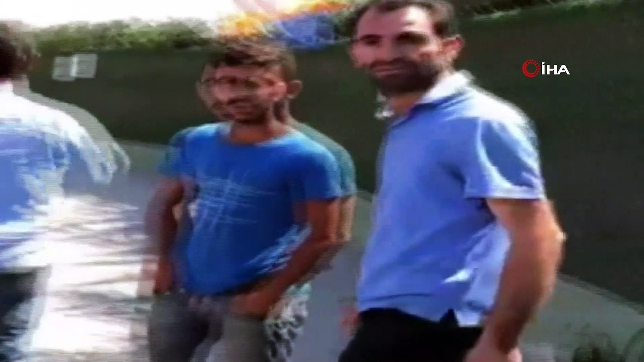 Ruam hastalığına geçen yıl adalara sevk edilen atların neden olduğu iddia edildi