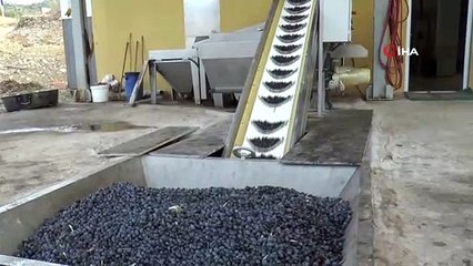 Bu yakıtın doğaya zararı değil faydası var