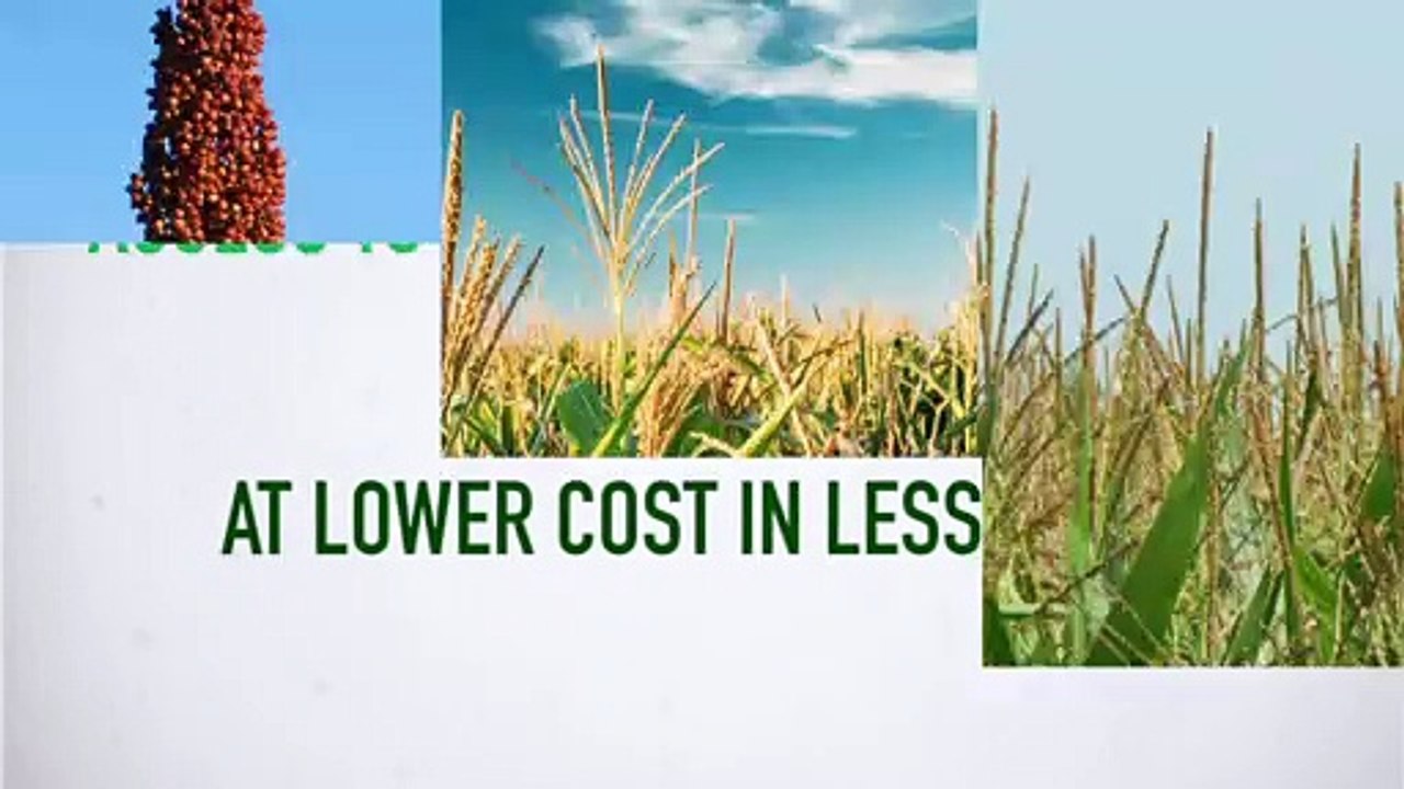Seed Processing, Packing & Cold Storage Services In India, Thailand, Kenya, Zambia | Jam Jam Group