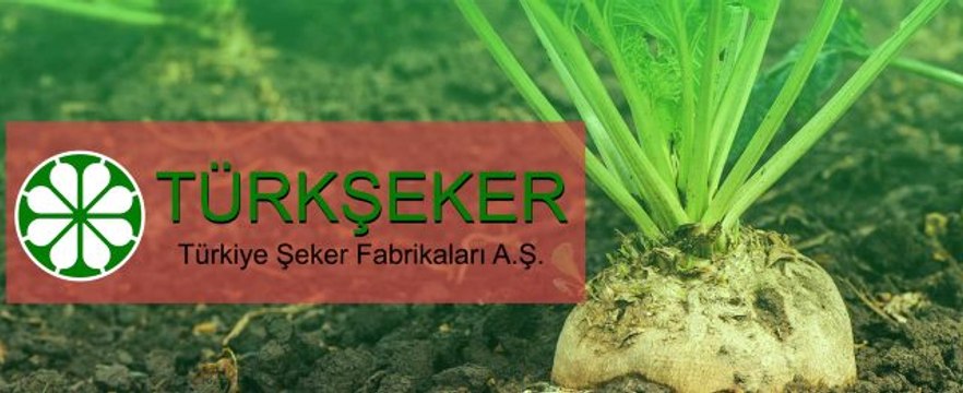 Türkiye Şeker Fabrikaları 1500 işçi alacak! Şeker Fabrikaları işçi alımı şartları ve tarihleri?