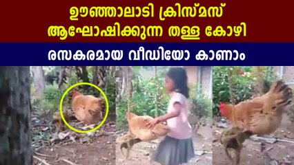 Hen plays with swings during Christmas | Oneindia Malayalam