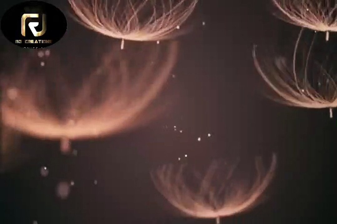 The powerful motivation video