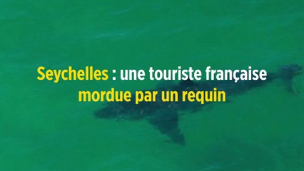 Seychelles : une touriste française mordue par un requin