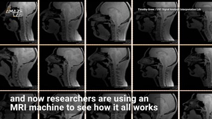 Watch People Beatbox in an MRI in Incredible Real-Time Video