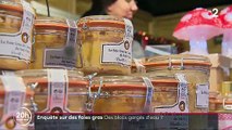 Foie gras et confits de canard : Plus de 50% des produits analysés sont non-conformes selon une enquête de la répression des fraudes