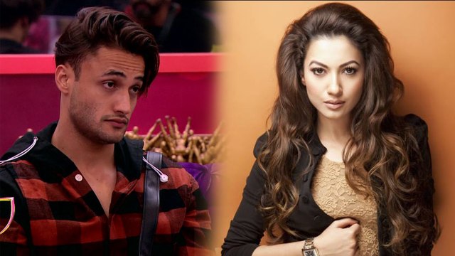 Bigg Boss 13 Weekend Ka Vaar : Ex- Contestants Gauahar Khan came in support of Asim Riaz |FilmiBeat