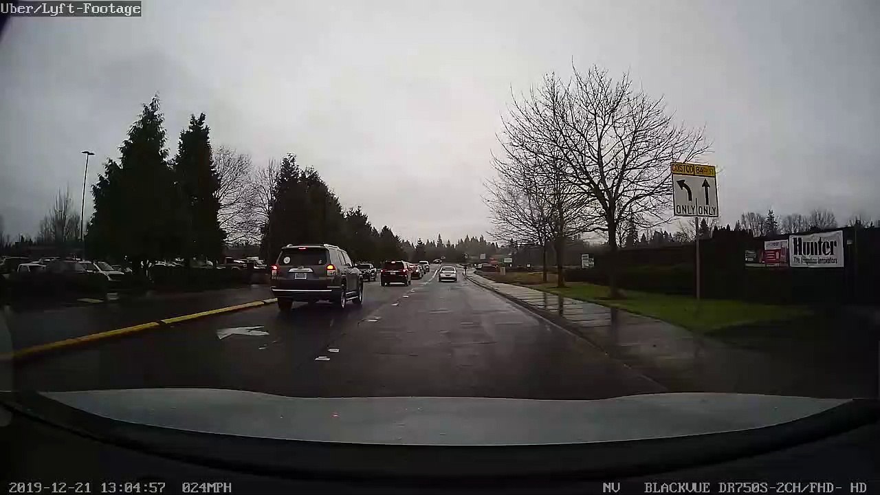 Near Miss as Pug Falls From Moving Car