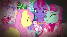 My Little Pony S06E20 Viva Las Pegasus