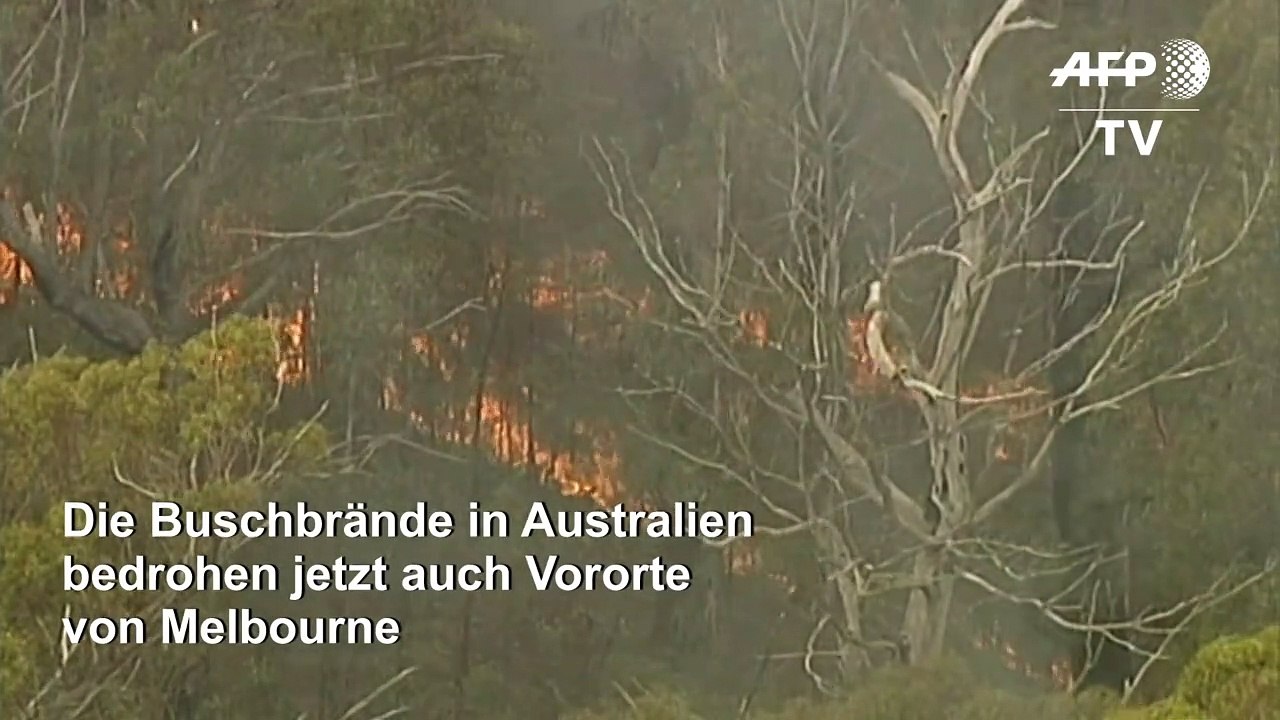 Buschbrände in Australien bedrohen Melbourne