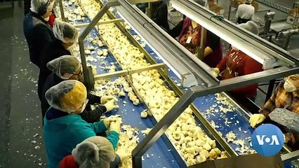 A Bad Harvest has Fuelled up the US-China Trade War